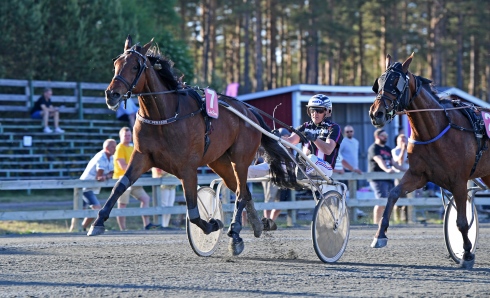 På fredagskvällen har V64 Express premiär och Fredrik Persson har ett hett segerbud i Hurricane Silas. Foto av Malin Albinsson TR Bild